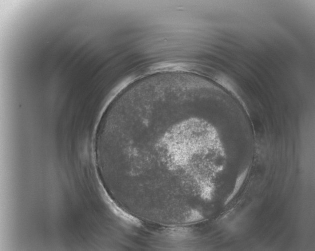 X0000067901090200604171356