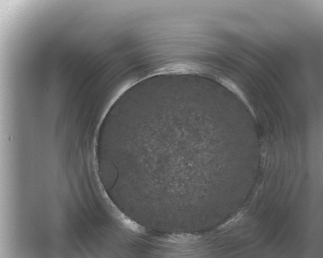 X0000067901091200604171356