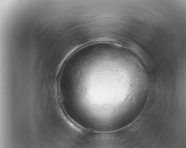 X0000067901092200604171356