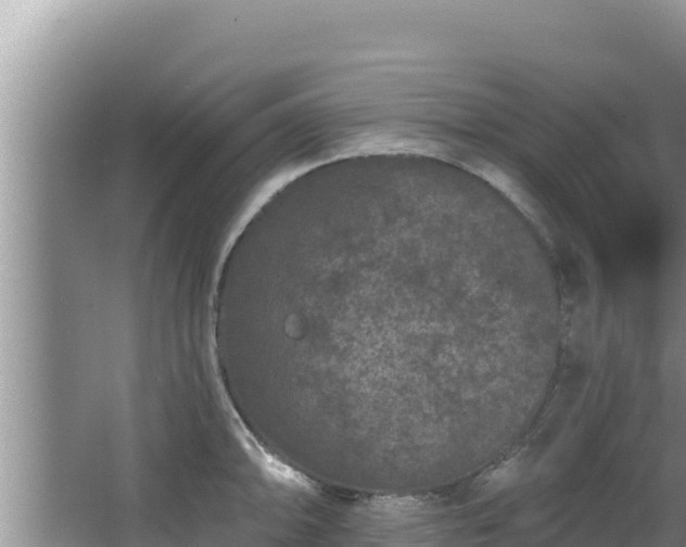 X0000067901094200604171356