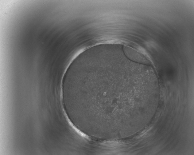 X0000067901095200604171356