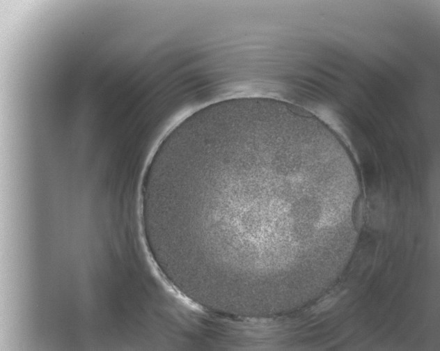 X0000067901096200604171356