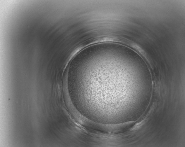 X0000067901097200604171356