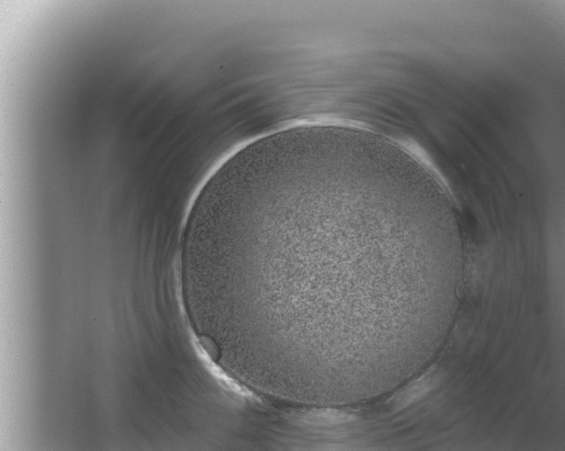 X0000067901100200604171356