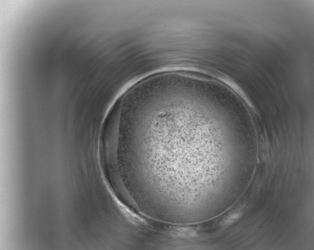 X0000067901101200604171356