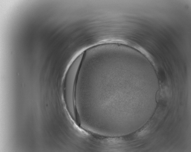 X0000067901102200604171356