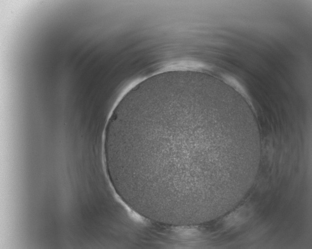 X0000067901103200604171356