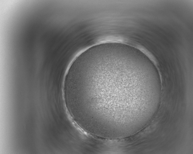 X0000067901104200604171356