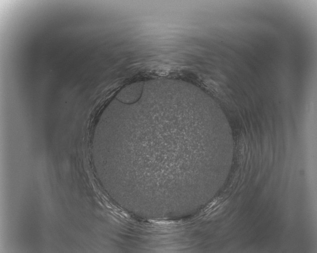 X0000067901105200604171355