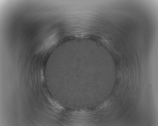 X0000067901106200604171355