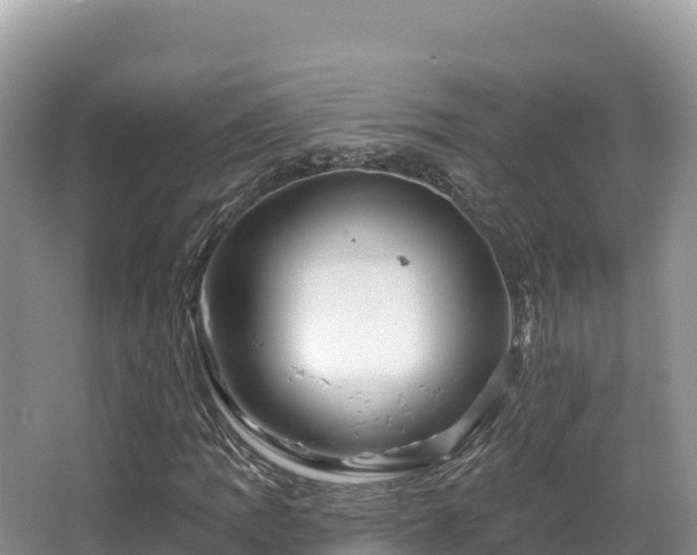 X0000067901109200604171356