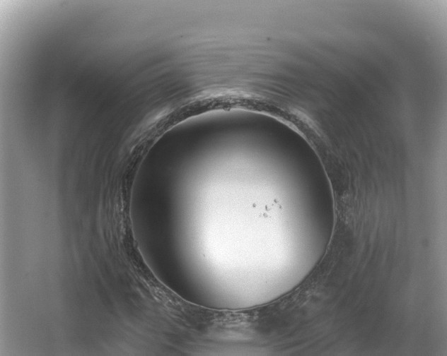 X0000067901111200604171356