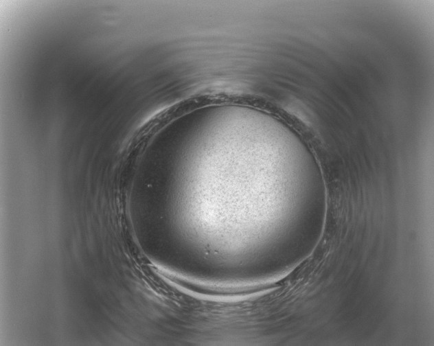 X0000067901112200604171356