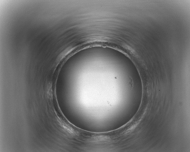 X0000067901113200604171356