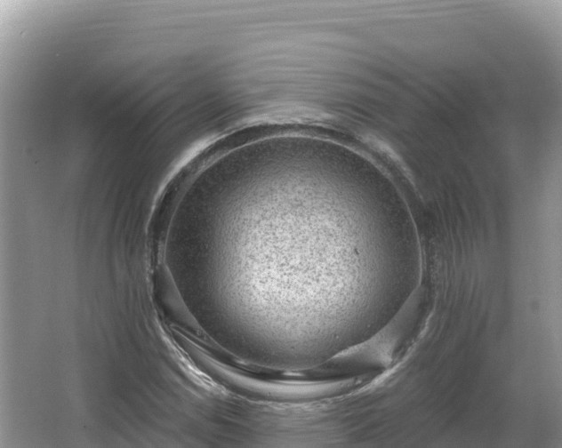 X0000067901114200604171356