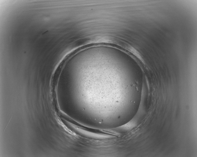 X0000067901116200604171356