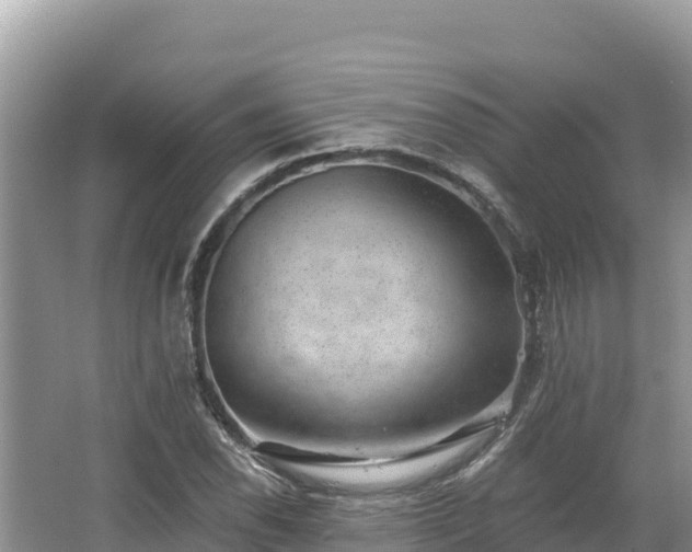 X0000067901118200604171356