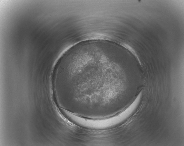 X0000067901120200604171356