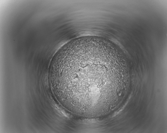 X0000067901121200604171356