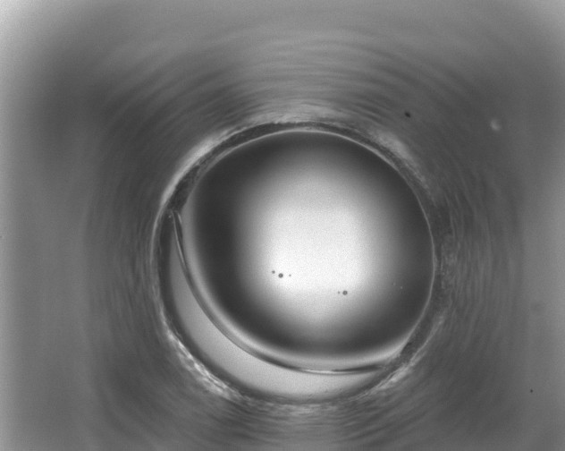 X0000067901122200604171356