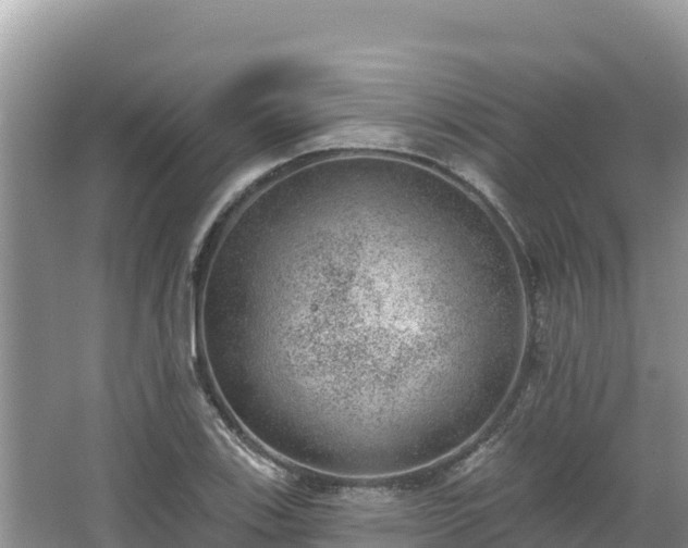 X0000067901123200604171356