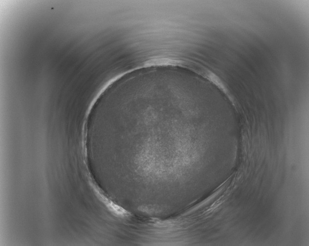 X0000067901124200604171356