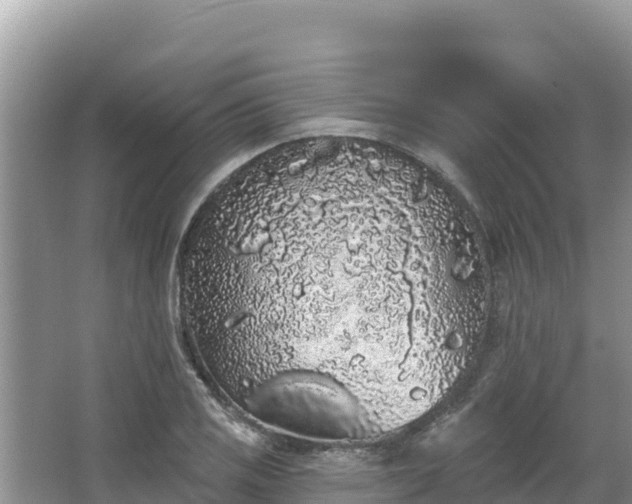 X0000067901125200604171356