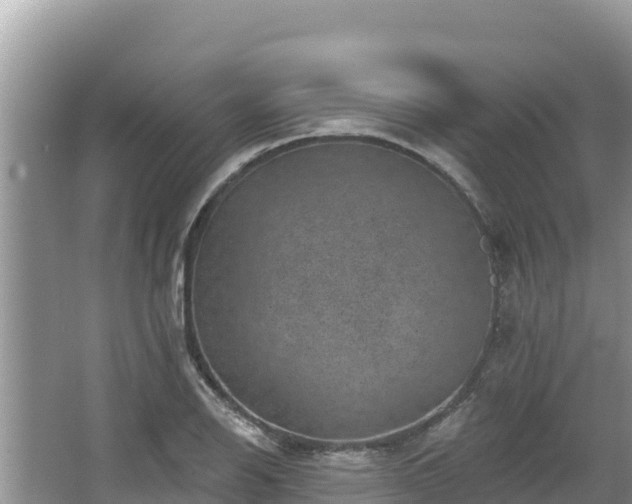 X0000067901126200604171356