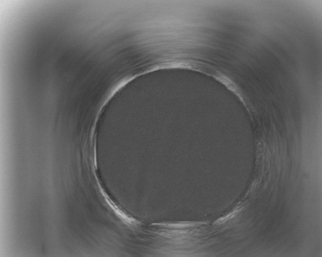 X0000067901127200604171356