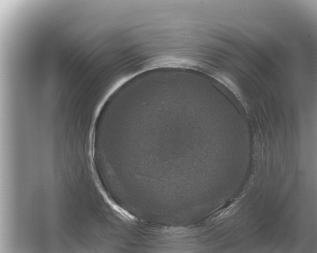 X0000067901128200604171356