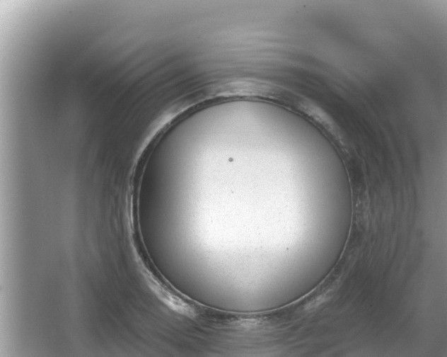 X0000067901130200604171356