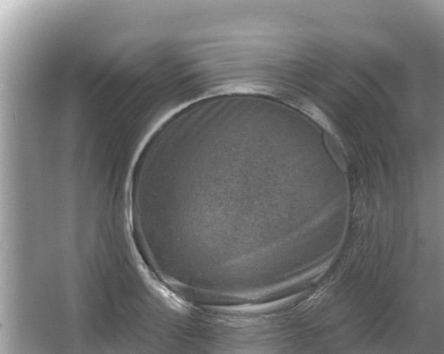 X0000067901132200604171356