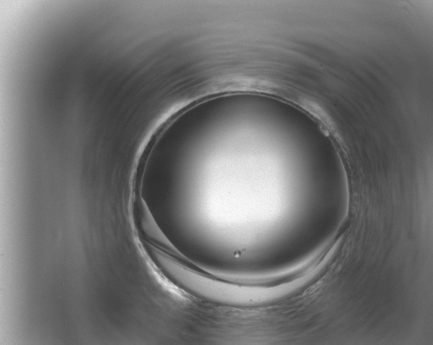 X0000067901136200604171356