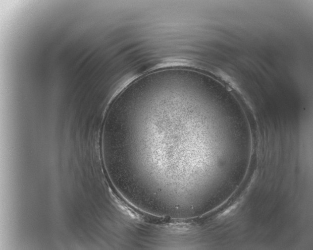 X0000067901137200604171356