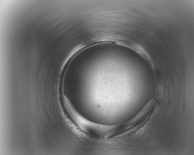 X0000067901138200604171356