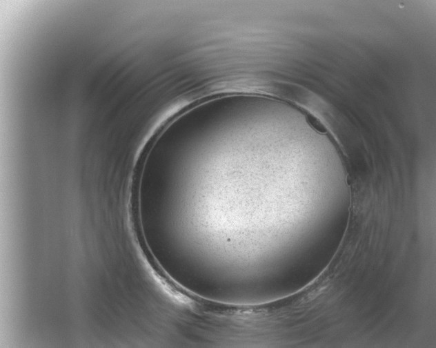 X0000067901139200604171356