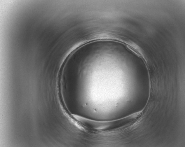 X0000067901142200604171356