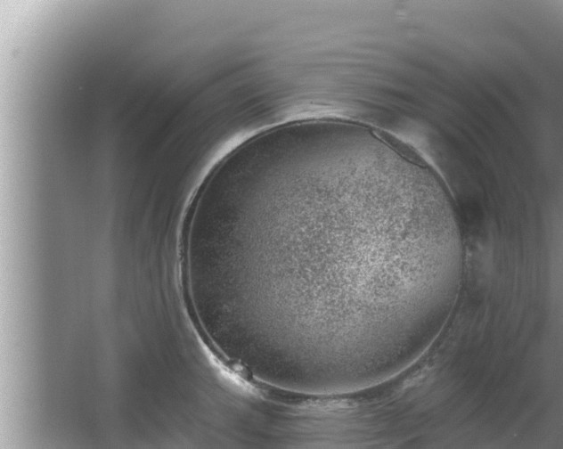 X0000067901143200604171356