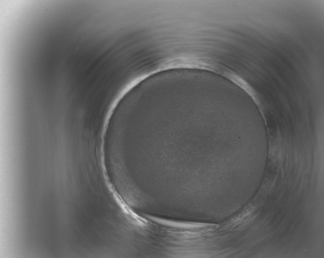 X0000067901144200604171356