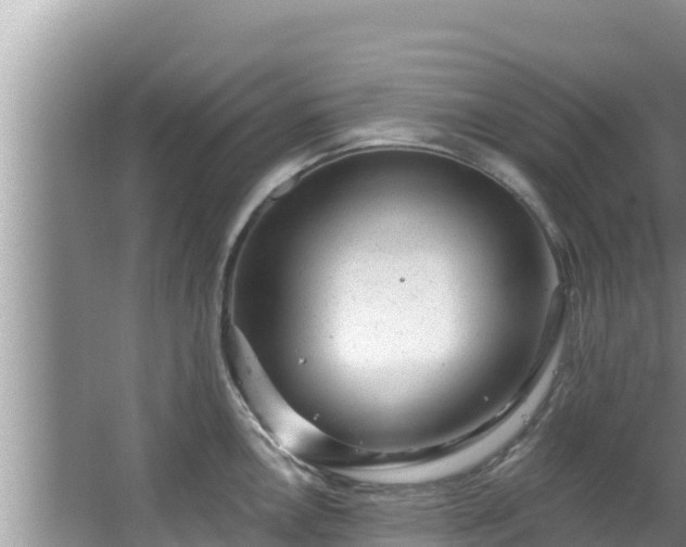 X0000067901146200604171356