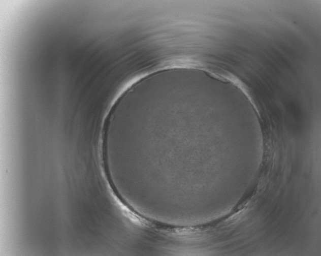 X0000067901147200604171356