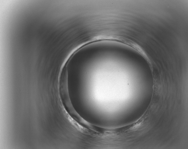 X0000067901148200604171356