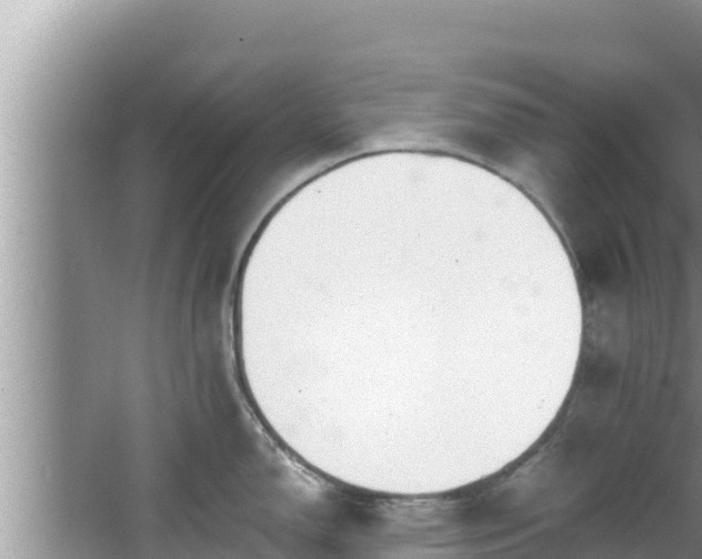 X0000067901150200604171356