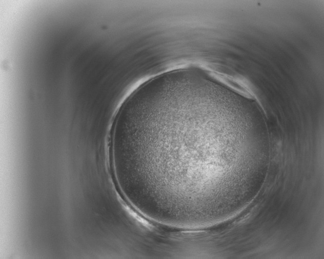 X0000067901151200604171356