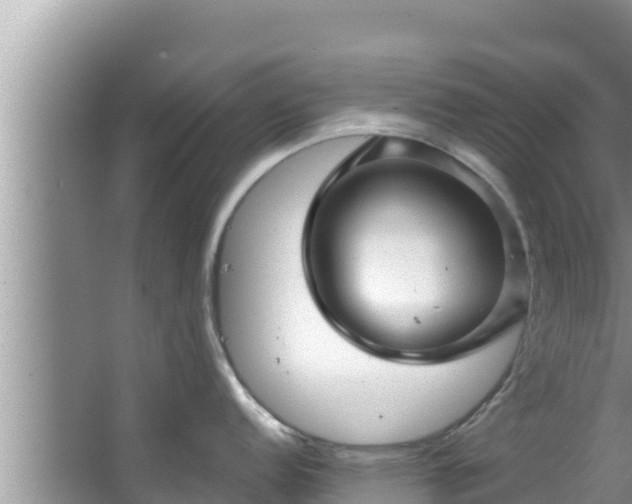 X0000067901152200604171356