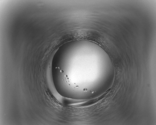 X0000067901153200604171355