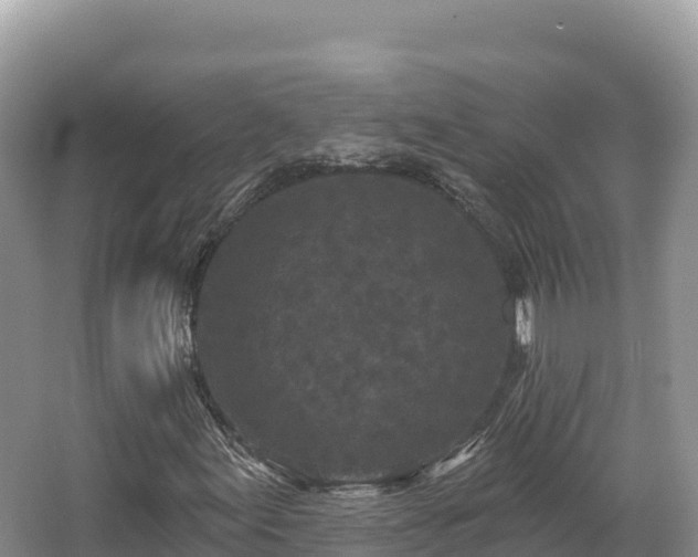 X0000067901155200604171355