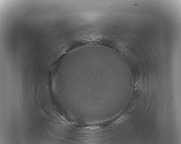 X0000067901156200604171355