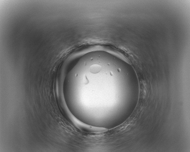 X0000067901157200604171355