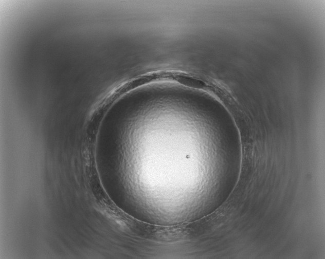 X0000067901159200604171355